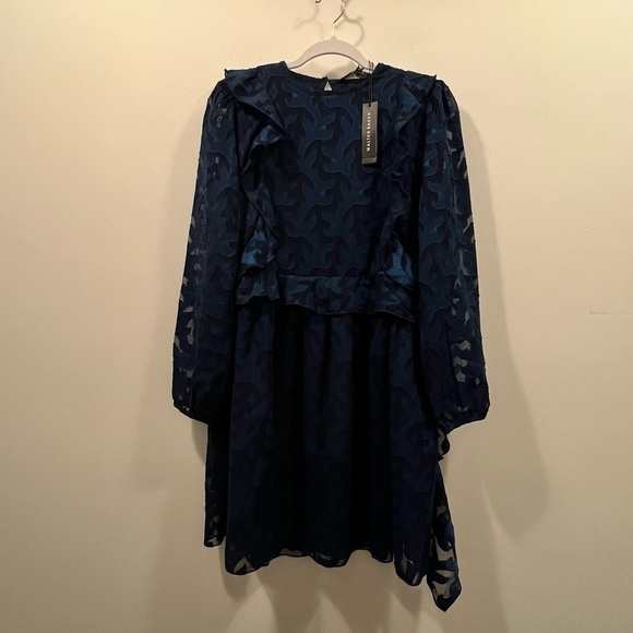 NWT WALTER BAKER Fae Ruffle Trimmed Fil Coupe Chiffon Mini Dress - Picture 6 of 10